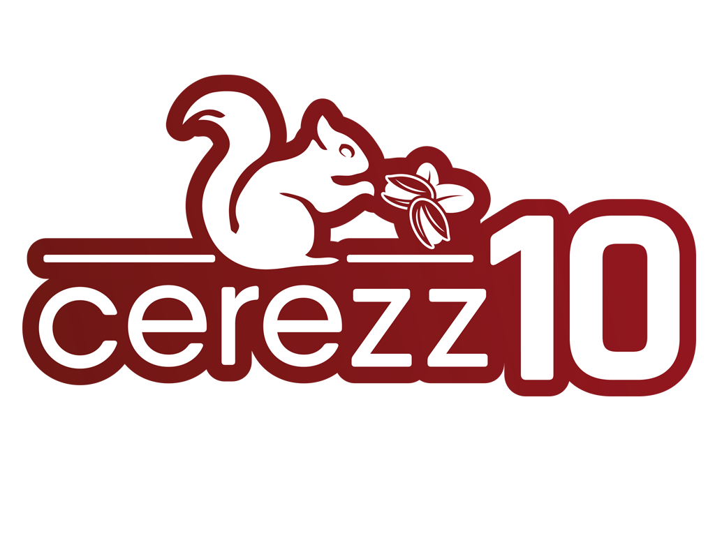 ÇEREZZ10